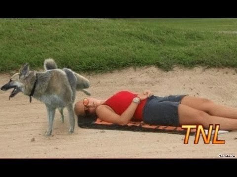 Funny Videos 2016 - Funny Fails - Try Not To Laugh - Funny Pranks 2016 - Whatsapp Funny Videos