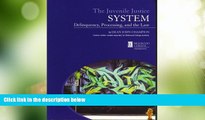 Big Deals  Juvenile Justice System: Delinquency, Processing,   the Law  Best Seller Books Most