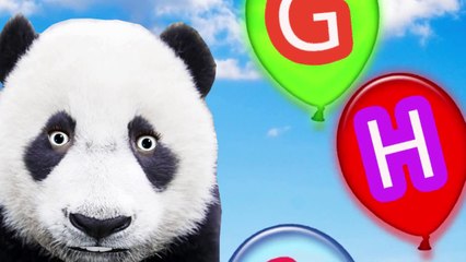 ABC Song Balloons (Panda) kashmont