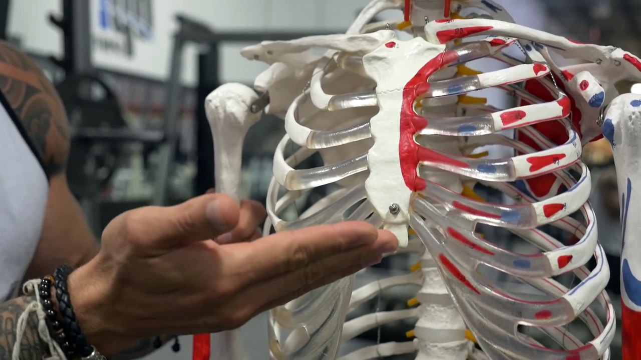 Bench Press Isn t The Best For Chest   How To Build Your Pecs   Advanced Training #9