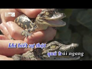 KARAOKE - Nhu Chua Tung Co Em - Bang Cuong