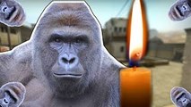 MY FRIENDS DIED FOR HARAMBE! FUNNY MOMENTS & HIGHLIGHTS #30 | CSGO
