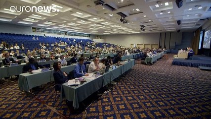 Le balene senza difesa. Respinta la proposta di una riserva nell'Atlantico del Sud