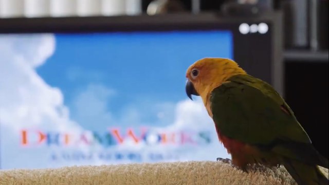 I like to move it move it