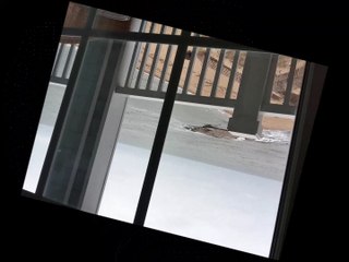 Madison Beach Hotel by Hilton  (A Curio Collection)