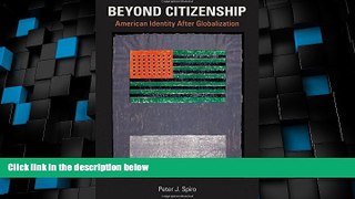 Big Deals  Beyond Citizenship: American Identity After Globalization  Best Seller Books Most Wanted