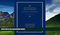 Big Deals  International Human Rights: Law, Policy, and Process  Full Ebooks Best Seller