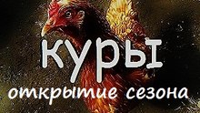 КУРЫ В АПРЕЛЕ / Дневник дачника / Несушки в теплице / Дача / Сад / Огород / aviculture /