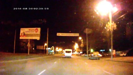 Russian Road Rage - Animals Attack - Micky Mouse & Sponge Bob
