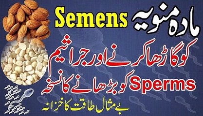 Mani Ghari Karne Ka Asaan Nukhsa -