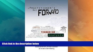 Big Deals  A Practitioner s Way Forward: Terrorism Analysis  Full Read Best Seller