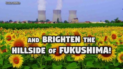 The Real Life ELSA! (30 Facts You Won