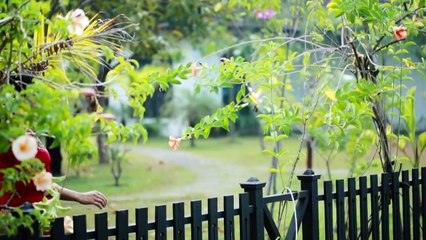 Joshua nd Shinu -wedding highlights