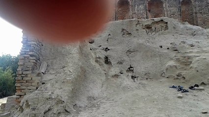 Harappa  remains, Sahiwal