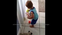 try not to laugh - whatsapp funny videos 2016 baby gathering tennis balls funny clips