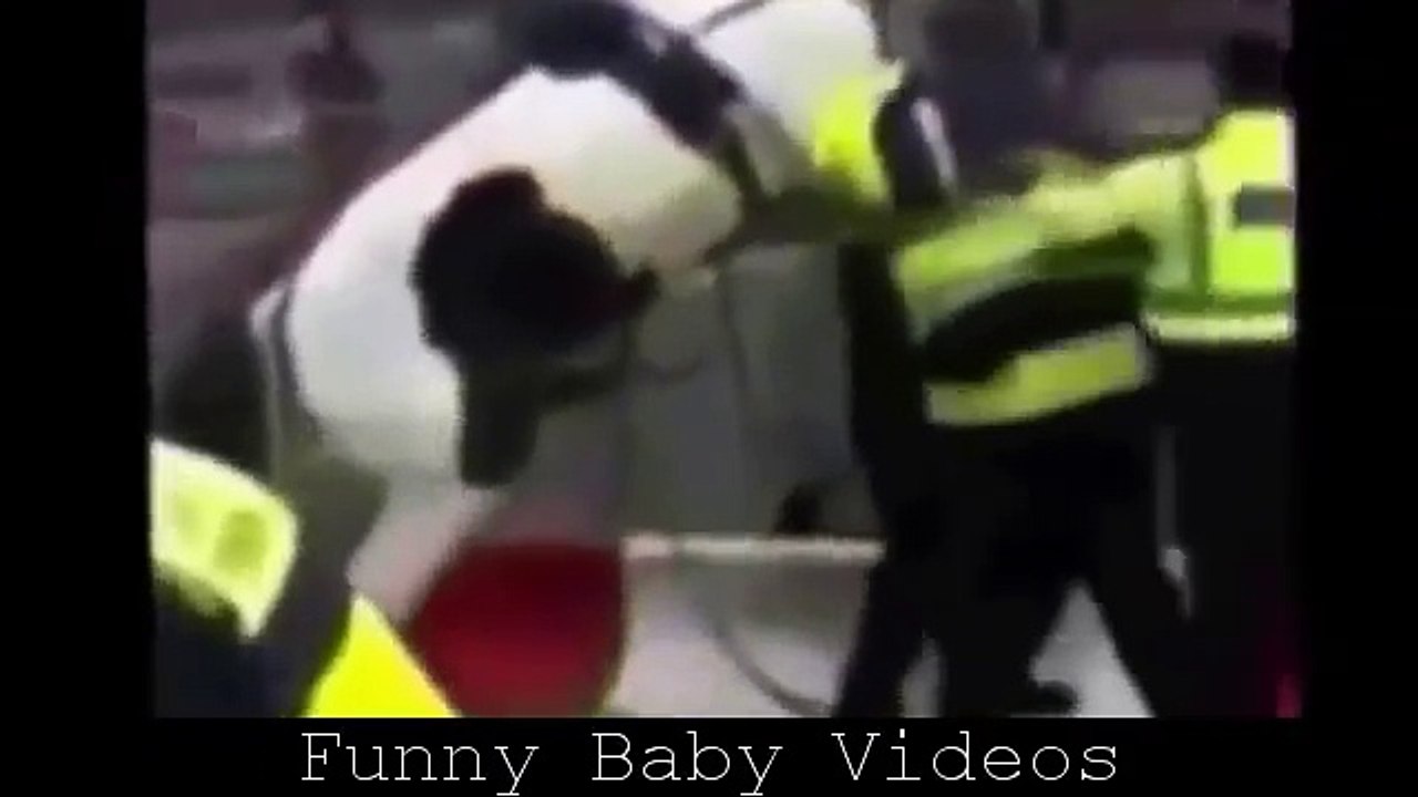 Funny Horse Fails That will Make You Laugh r Grin