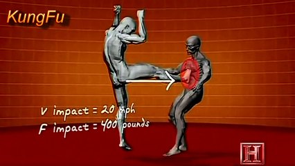 HOW TO WIN EVERY FIGHT: Using Kung Fu