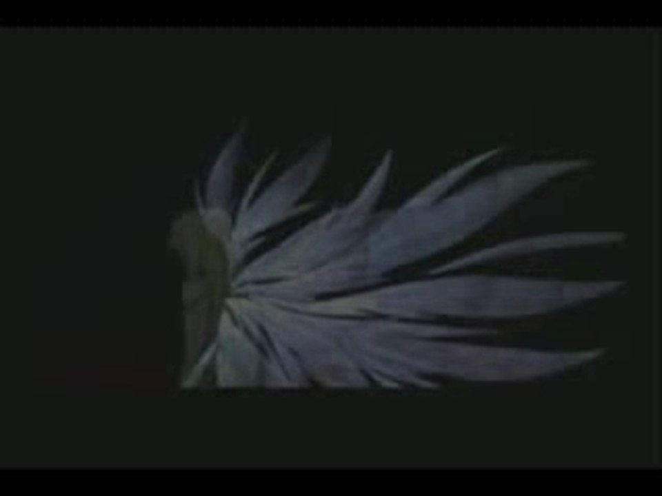 Tales of symphonia intro/Hi ougis (jap)