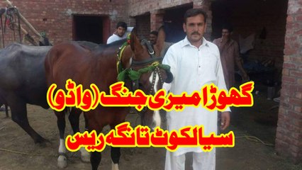 malik ashraf from sialkot horse wadu race 23-10-16