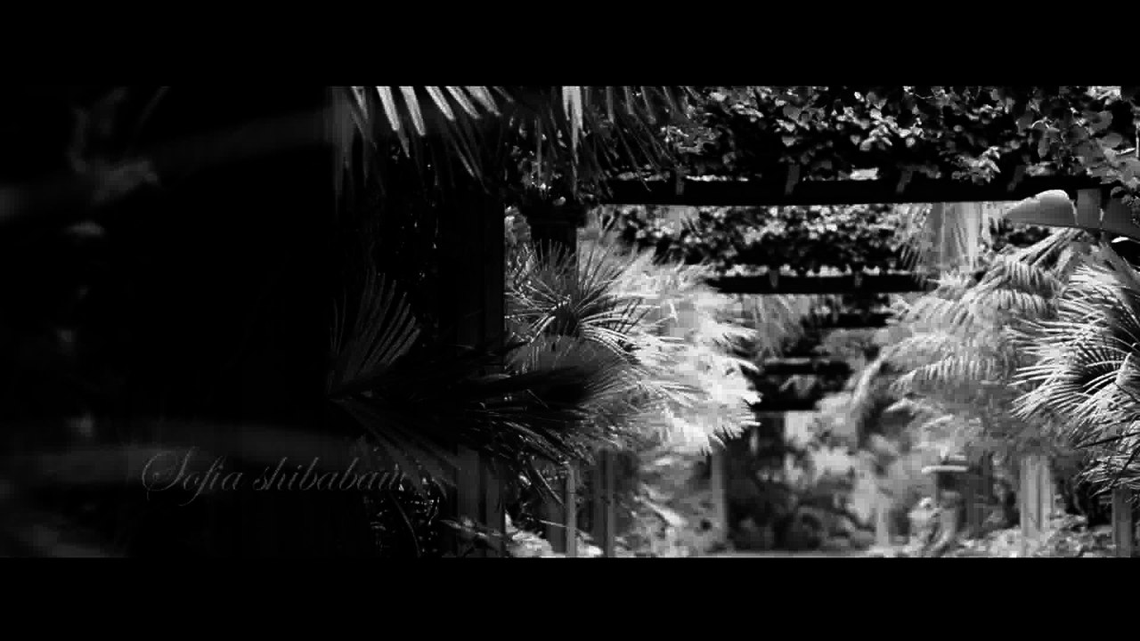 Sofia Shibabaw - Leyu Neh -  New Mezmur 2016 (Official Video)