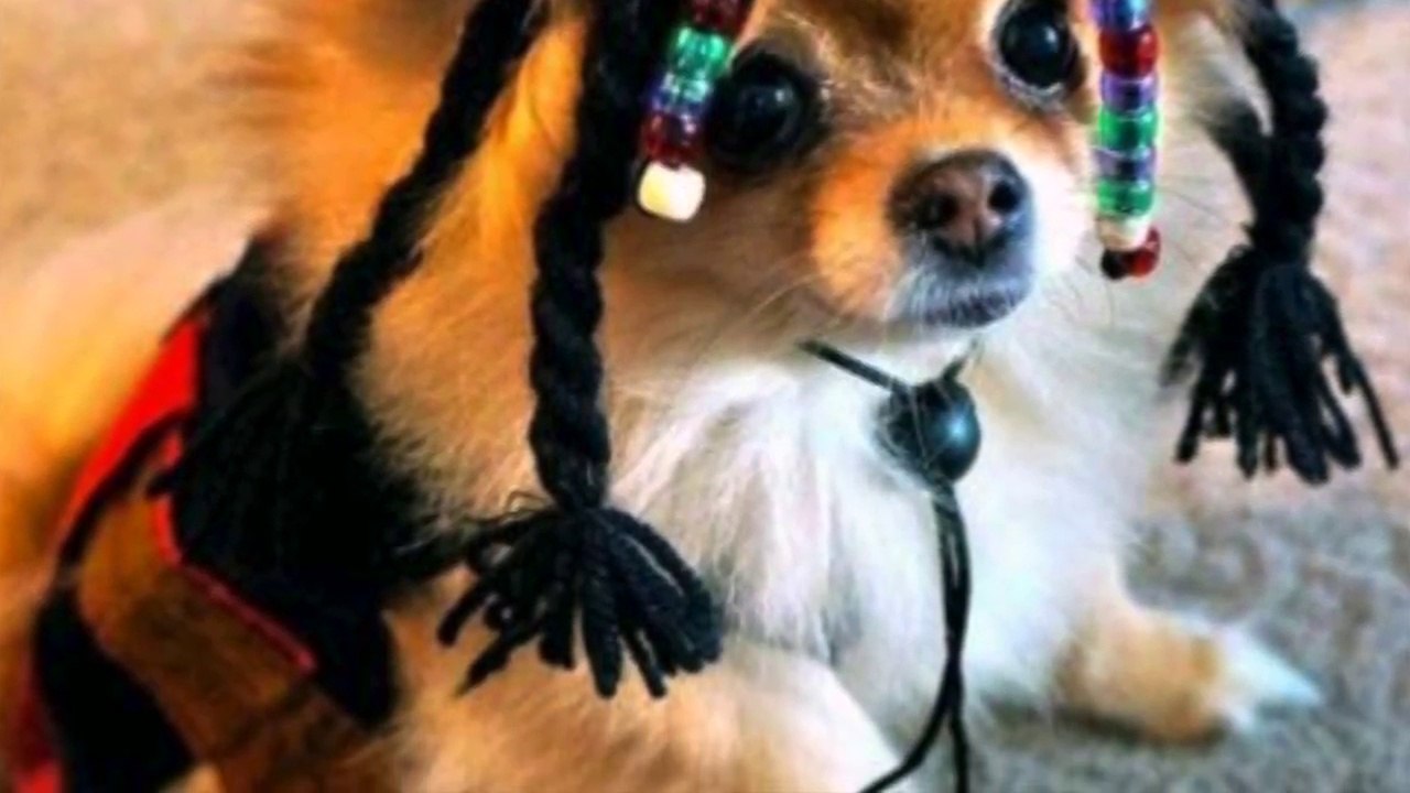 ハロウィンパーティー　ハイレベルなコスプレなコスプレ集