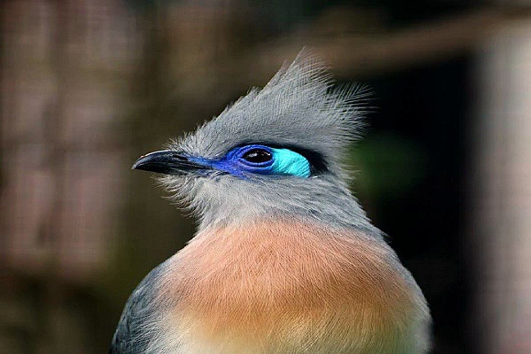 강남오피걸 밤전 부천건마 마사지 예약 하러가기