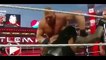 Roman Reigns vs. Brock Lesnar- WHC Match Wrestlemania 31 (Highlights)
