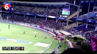 Cricket Comedy ►Animal Intruders During Cricket Match ♦Funny Cricket Moments♦ HD