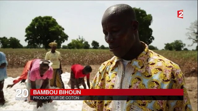 OGM : le Burkina Faso va se passer du coton de Monsanto
