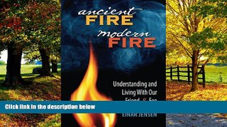 Books to Read  Ancient Fire, Modern Fire: Understanding and Living With Our Friend and Foe  Full