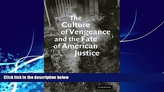 Big Deals  The Culture of Vengeance and the Fate of American Justice  Full Ebooks Most Wanted