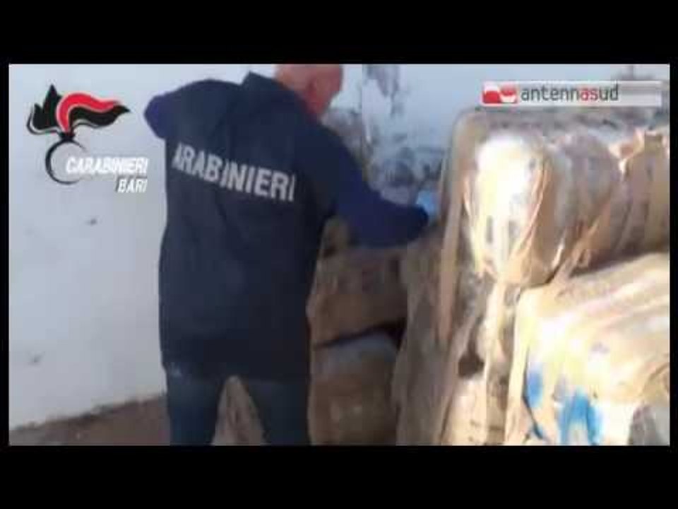 TGSRVott25 bari carabinieri sequestrano marijuana