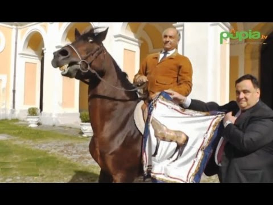Persano (SA) - Il Cavallo di Persano diventa cravatta con Ugo Cilento (25.10.16)