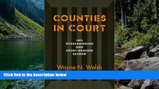 Big Deals  Counties In Court  Full Read Best Seller