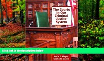 Big Deals  The Courts in Our Criminal Justice System  Full Read Most Wanted