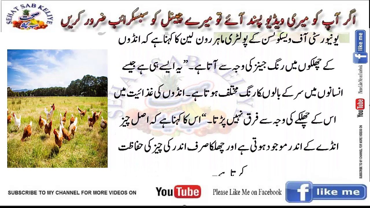 کیا انڈے کے سائز کا اس کے ذائقے اور فوائد پر کوئی اثر پڑتا ہے؟ جانئے انتہائی دلچسپ راز