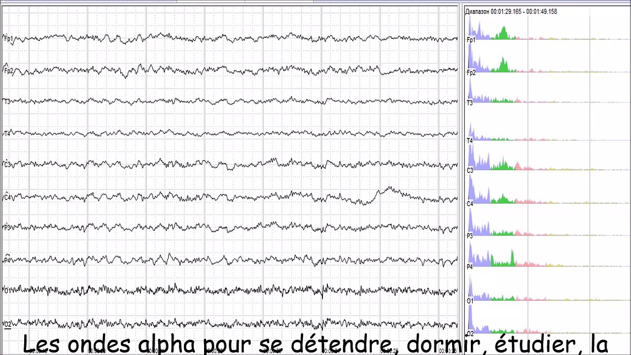 Les ondes alpha pour se détendre, dormir, étudier, la puissance du cerveau, la concentration, la concentration