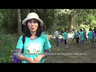 ผจญภัยไร้พรมแดน ตอน Jungle Fun@กาญจนบุรี 2