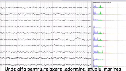 Unde alfa pentru relaxare, adormire, studiu, marirea putererii creierului, concentrare, muzica creierului