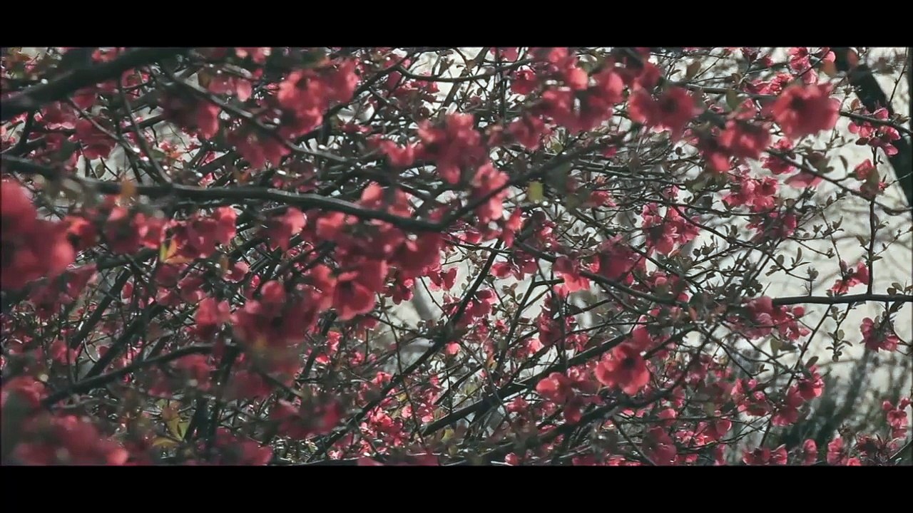 Courage - Hope (Original Mix)