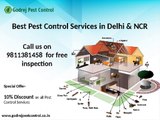Get 10% OFF on pest control and termite treatment in Noida, Faridabad, Ghaziabad, Gurgaon,Indirapuram and Dwarka