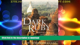 READ  Dark Ruby: Travels in a Troubled Land FULL ONLINE