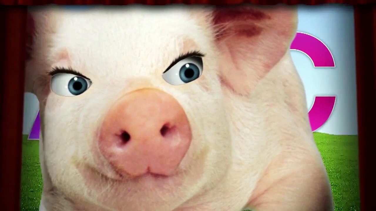abc song pig and ape