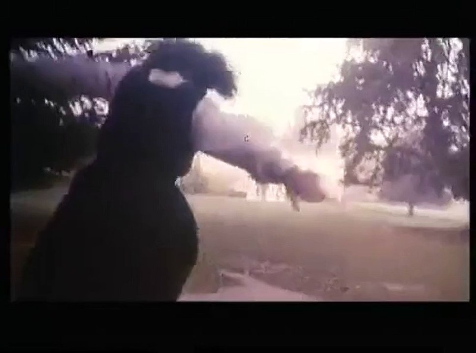 CRÉATURES CÉLESTES - Bande-annonce