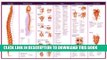 Read Now Anatomical Chart Company s Illustrated Pocket Anatomy: The Vertebral Column   Spine