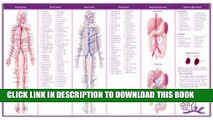 Read Now Anatomical Chart Company s Illustrated Pocket Anatomy: The Circulatory System Study Guide