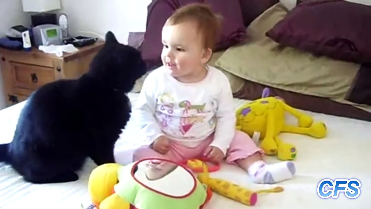 "Cats Love Babies Compilation" || CFS