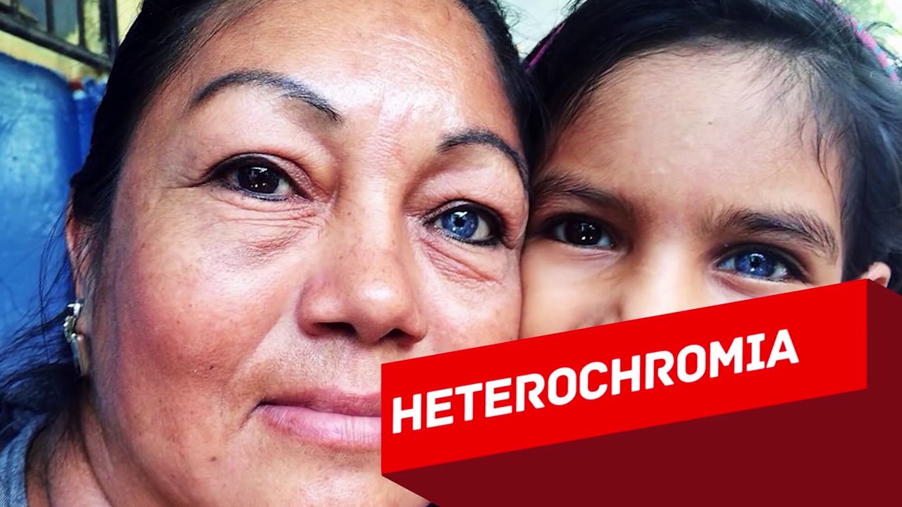 5 CURIOUS ANSWERS TO SIMPLE QUESTIONS