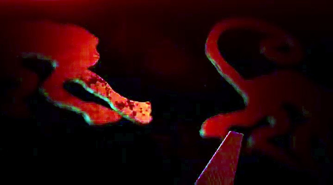 12 MONKEYS S2 - Generique